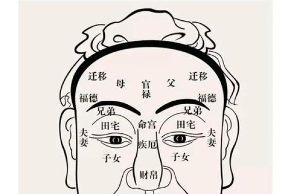 识人秘术：揭秘面相背后的惊人秘密