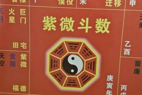 命理演绎评例揭秘，如何通过八字掌控未来