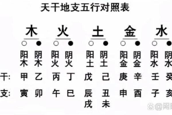 天干地支如何影响你的命运：揭开阴阳五行的神秘面纱