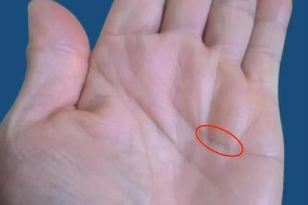 手指翘起竟暗藏大秘密，手相解读你的财运、健康