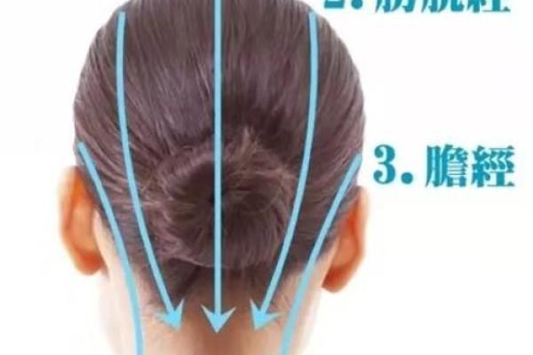 后发际线之谜：揭秘面相中的长寿密码