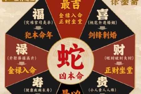 属蛇人五行命理揭秘：揭秘你的五行命盘，运势大揭秘