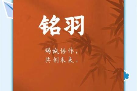 起个响亮的名字，红枣公司品牌价值提升不止一步