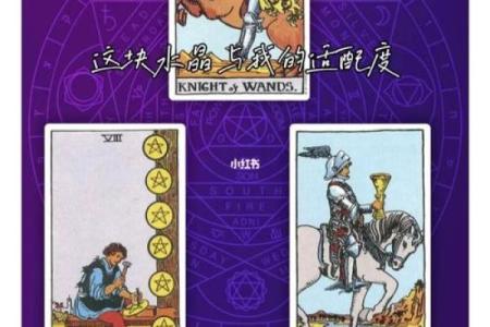 郑秀晶的命理分析：财富与事业的背后秘密