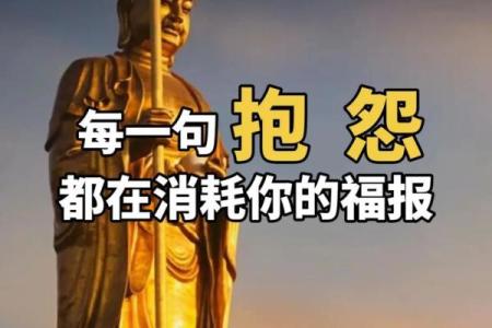 灾气与福气，命理如何揭示你的人生方向
