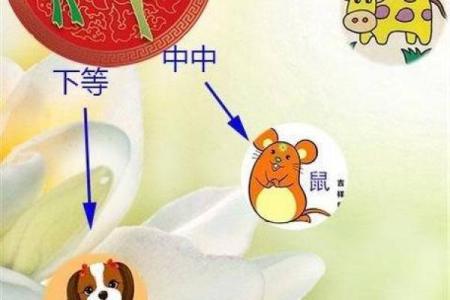 属相姻缘指南：速来查看你的完美伴侣