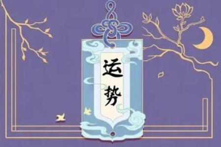 龙德星照命：揭秘你的运势密码