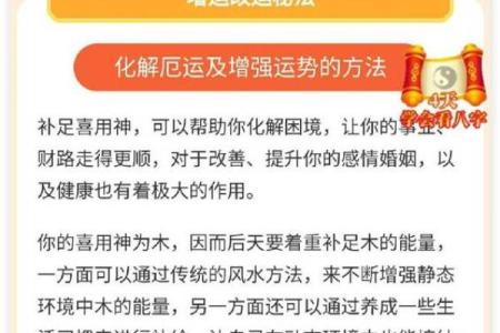 袁天命理测算解锁财富与幸福的秘诀
