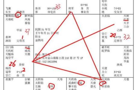 快速掌握紫微斗数奥秘，周易在线排盘带你进入命理世界