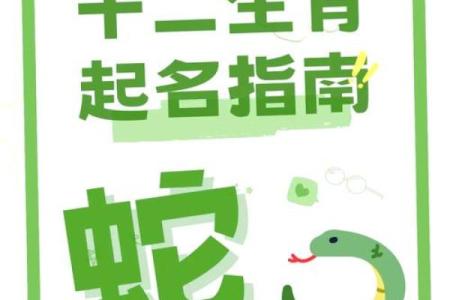 属蛇创业成功秘籍：选对公司名字至关重要