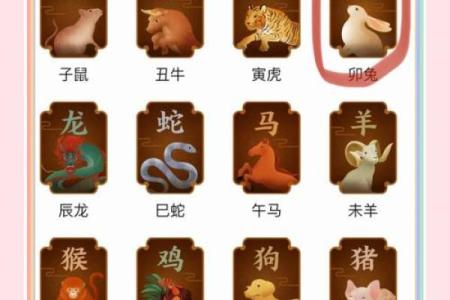 兔缘龙配：揭秘属兔与属龙的最佳组合