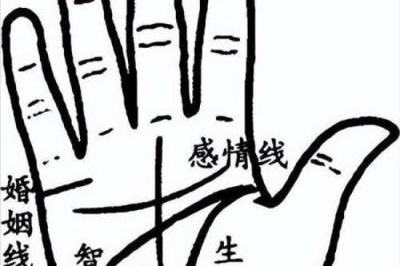 揭秘手相密码：一眼识人，手相学入门必看