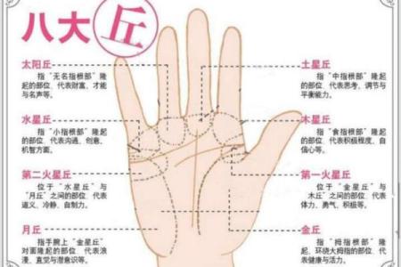 手相揭秘：一眼看穿你的运势，财运、健康、感情全掌握