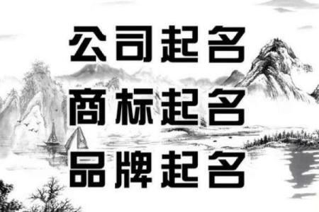 公司起名技巧大揭秘，轻松打造品牌认知