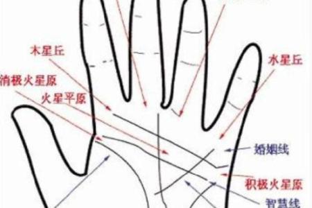 手相揭秘：哪些手纹预示着横财运亨通？