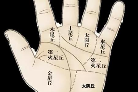 手相揭秘：掌中奥秘，掌握命运的秘密钥匙
