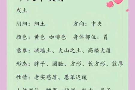 探索壬戌年天干的文化与历史价值