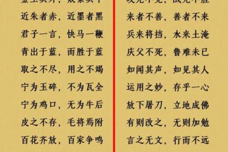 命理与诗词交织：探寻命运的隐秘语言