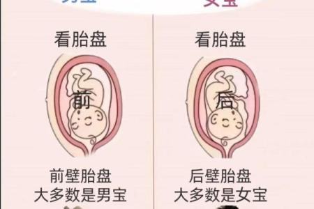 手相揭秘：一招看穿宝宝性别，准到不可思议