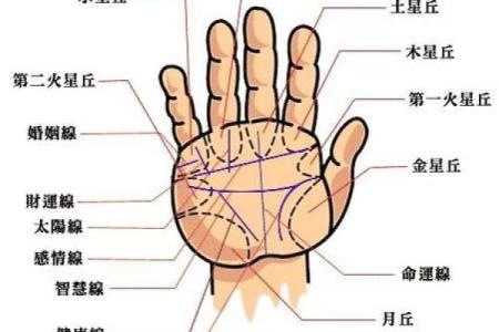 手相揭秘：揭秘你的爱情运势，一眼看穿你的缘分