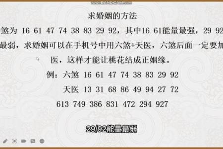 探索数字能量如何影响命理与人生轨迹