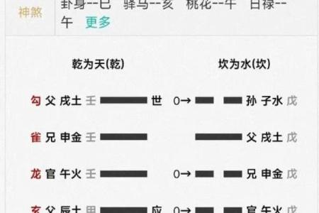 通过命理分析找到你的事业黄金轨道