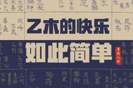 命理演绎评例揭秘，如何通过八字掌控未来