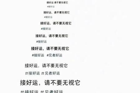 王一帆亲授命理奥秘，成功从此有迹可循