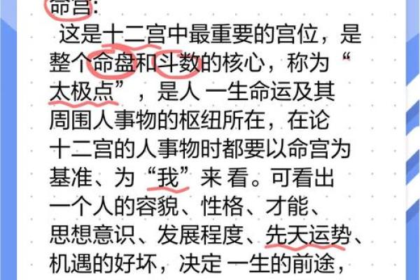 九星命卦术：揭秘命运密码的神秘指南