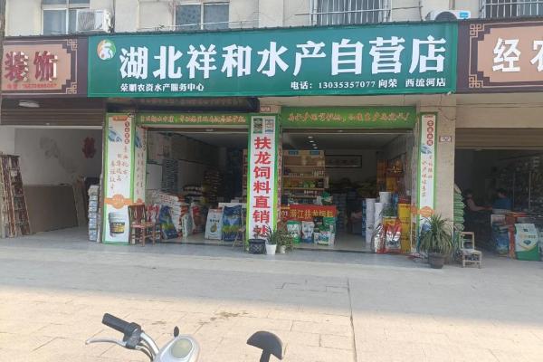 水产公司起名大全免费，打造品牌魅力的第一步