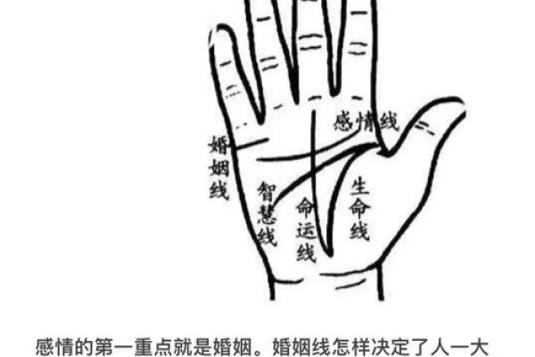 一秒看透命运，手相揭秘你的前世今生