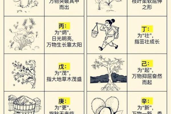 天干排名大揭秘，谁的能力最强