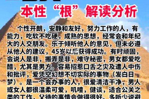 高命论：揭秘命运密码，开启幸福人生新篇章