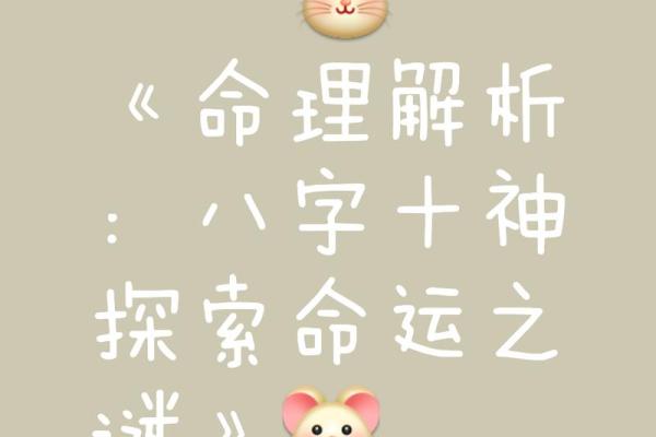 高命论：揭秘命运密码，开启幸福人生新篇章