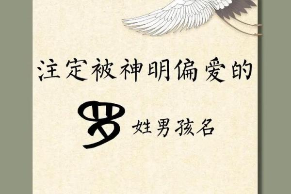 最受欢迎的罗姓名字推荐