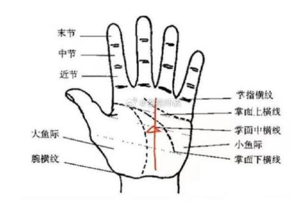 揭秘手相三峰，财运亨通的秘密