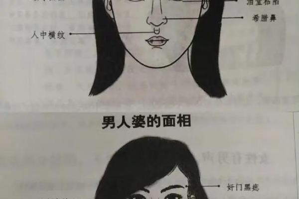 识人于面：揭秘面相背后的惊人秘密，让你一眼看透人心