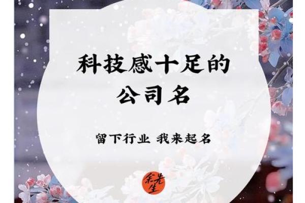 如何为科技公司起个响亮的名字，吸引更多关注