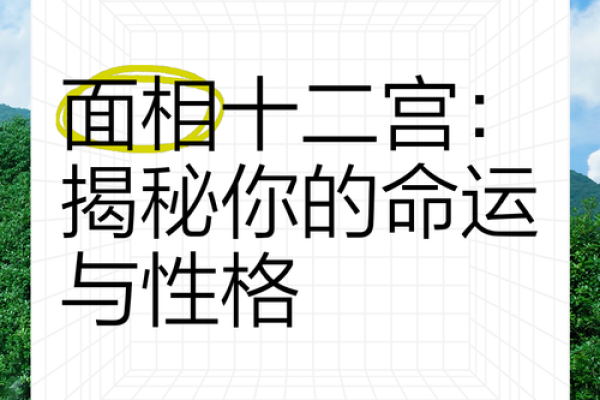 识破命运之谜，面相解析教你掌握人生走向