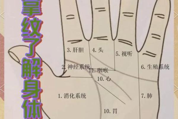 揭秘左手先天手相，掌握命运密码
