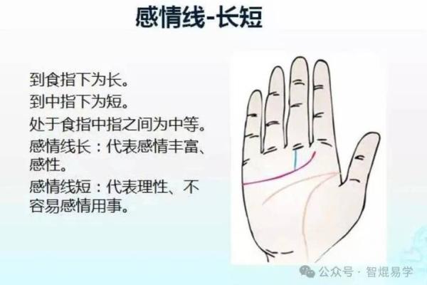 揭秘左手先天手相，掌握命运密码