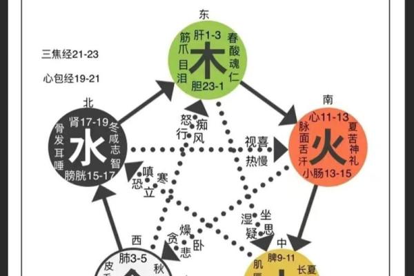 五行相生，我是金木水火土命，揭秘你的命理运势
