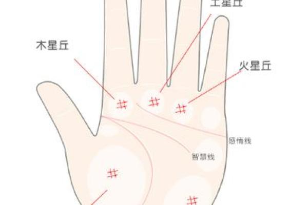 揭秘女性井字纹手相：财运亨通，事业成功的秘密