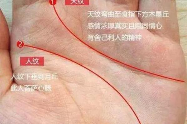 揭秘女性井字纹手相：财运亨通，事业成功的秘密
