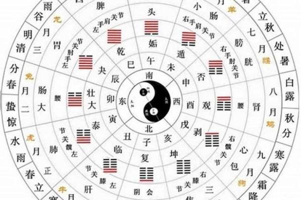 天干地支揭秘：如何利用它提升你的运势？
