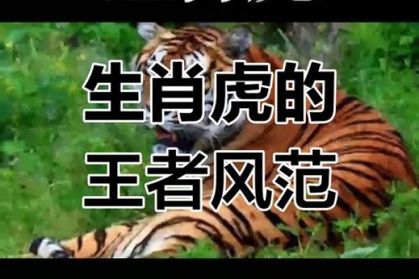 火虎命：揭秘神秘生肖背后的神秘力量