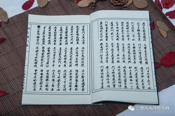 金口玉言，揭秘杨公风水绝学：家居风水的黄金法则，让你财运亨通，福泽连年