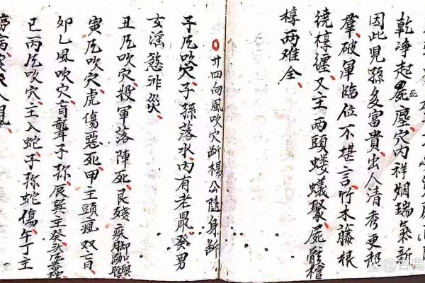金口玉言，揭秘杨公风水绝学：家居风水的黄金法则，让你财运亨通，福泽连年