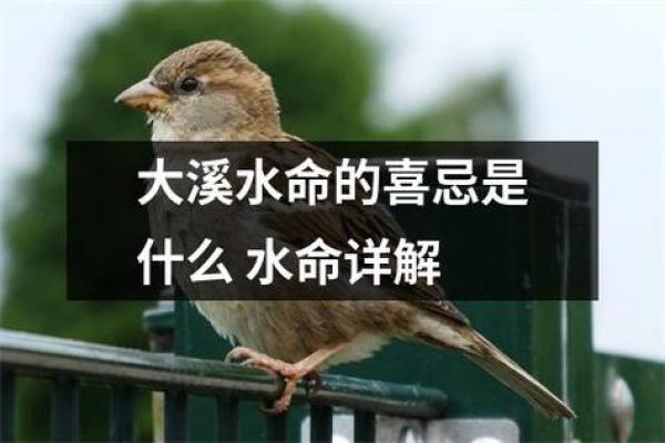 命里忌水，揭秘那些与水无缘的神秘命运