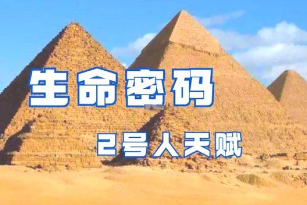 揭秘神秘地平木命：你的命运密码，竟然藏在这片木光之中